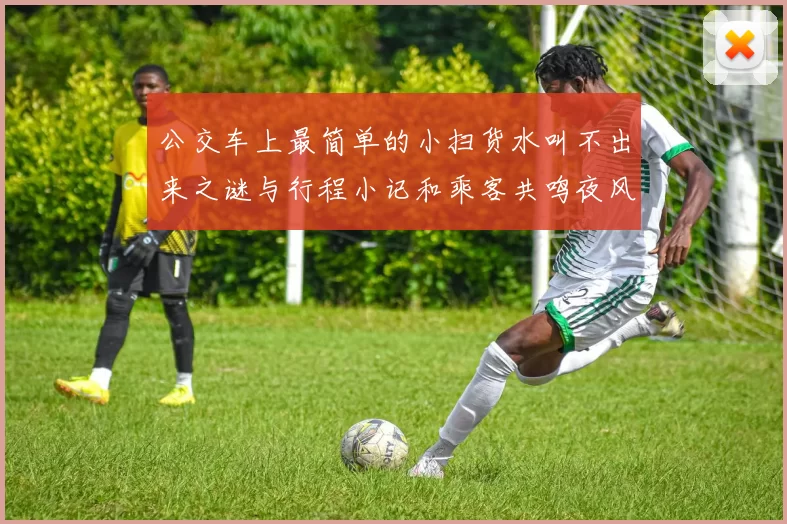 公交车上最简单的小扫货水叫不出来之谜与行程小记和乘客共鸣夜风里