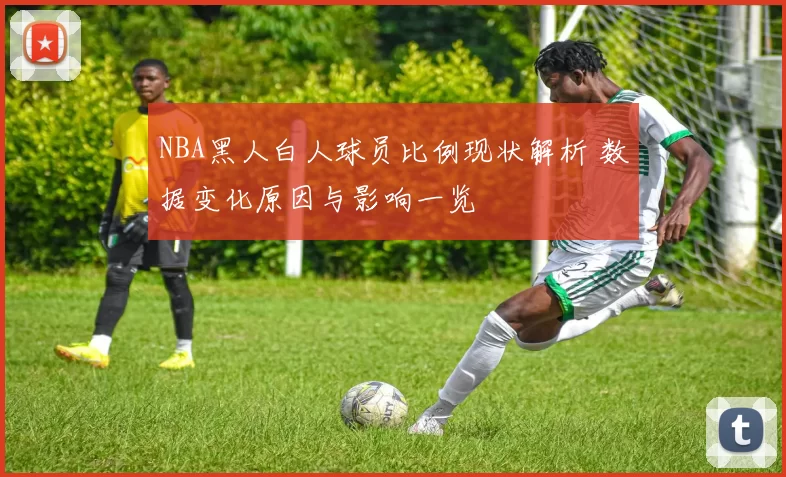 NBA黑人白人球员比例现状解析 数据变化原因与影响一览