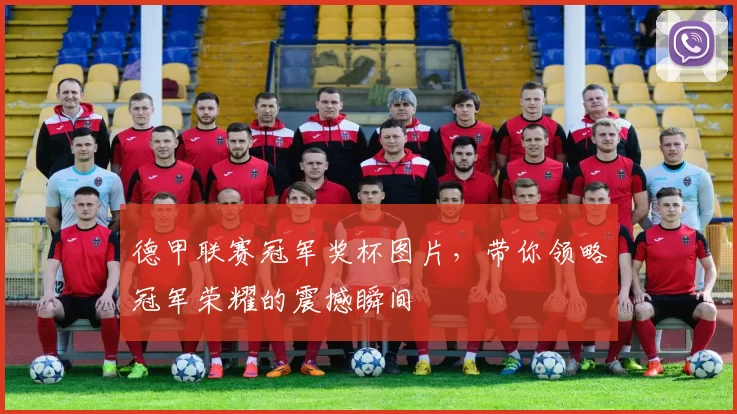 德甲联赛冠军奖杯图片，带你领略冠军荣耀的震撼瞬间