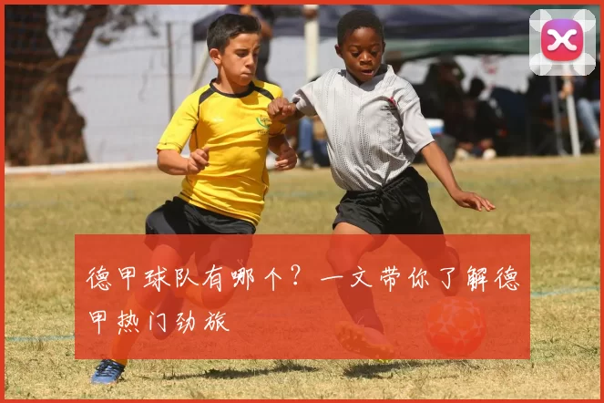 德甲球队有哪个？一文带你了解德甲热门劲旅